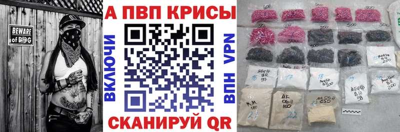omg   Нижневартовск  A-PVP СК 