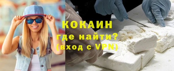ешки Алексин
