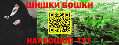 сатива Гатчина