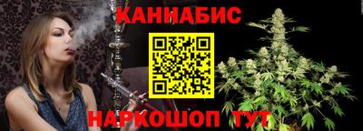 сатива Гатчина