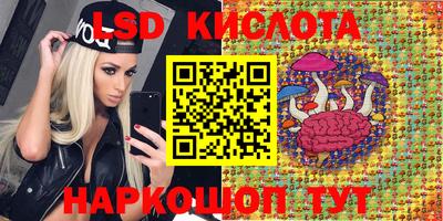 сатива Гатчина