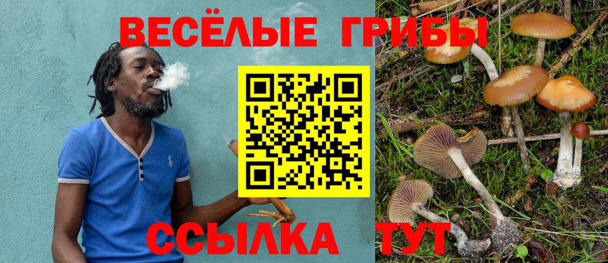Галлюциногенные грибы MAGIC MUSHROOMS  Вход с VPN  Нижневартовск 
